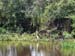 P1020262